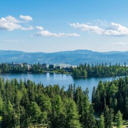Tree climbing: potatura di alberi ad alta quota