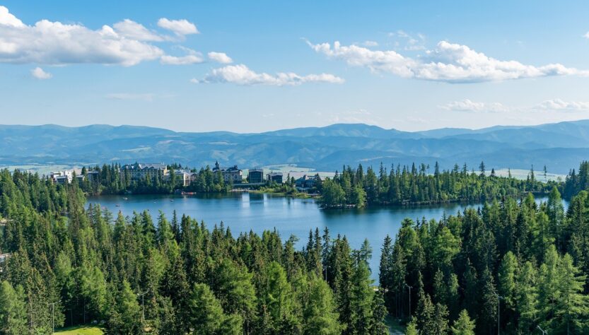 Tree climbing: potatura di alberi ad alta quota