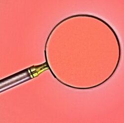 Indagini forensi digitali: cosa sono e su chi fare affidamento