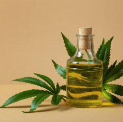 L’importanza degli odori nella canapa legale: i terpeni